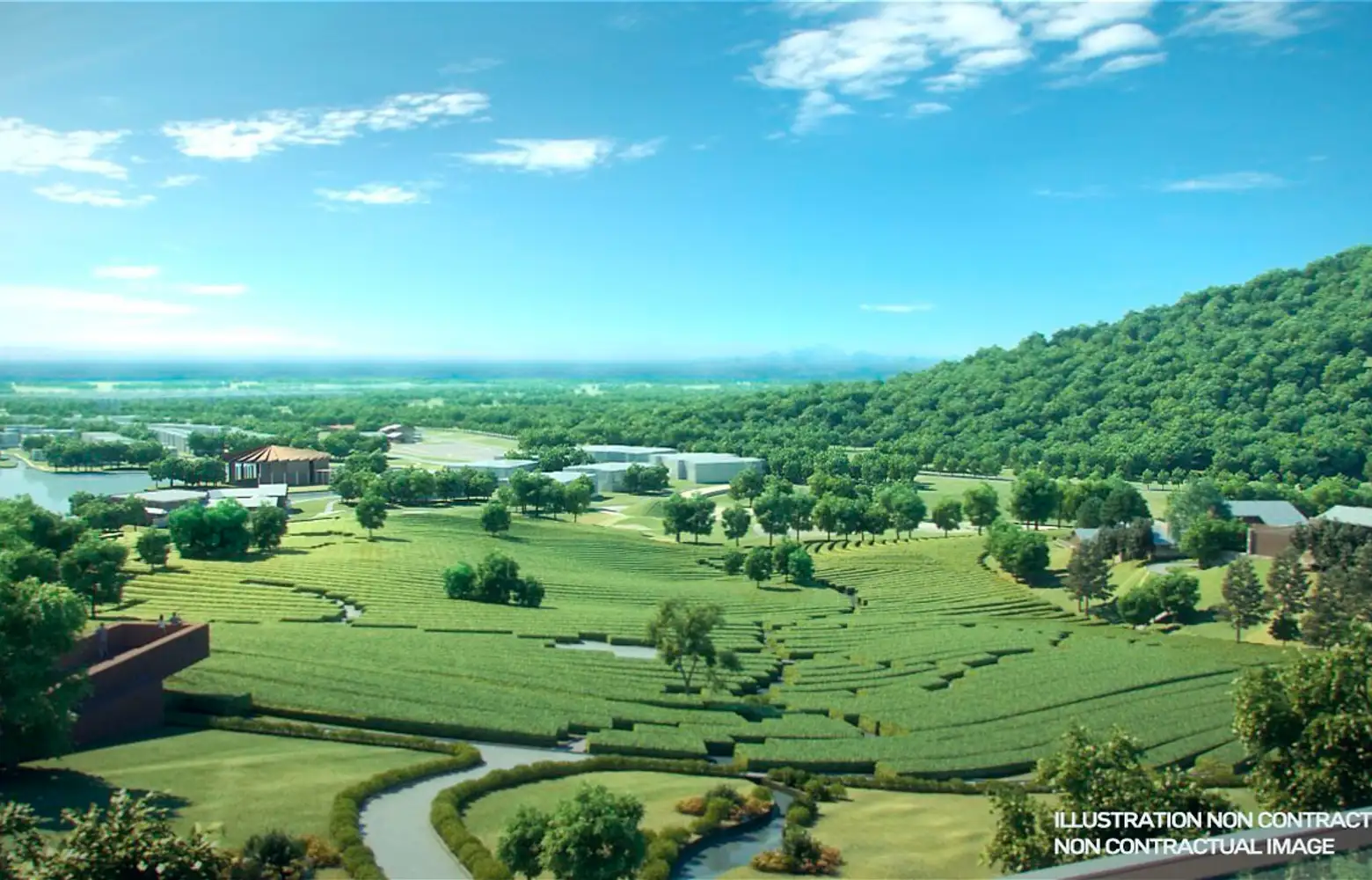 Club Med 景观